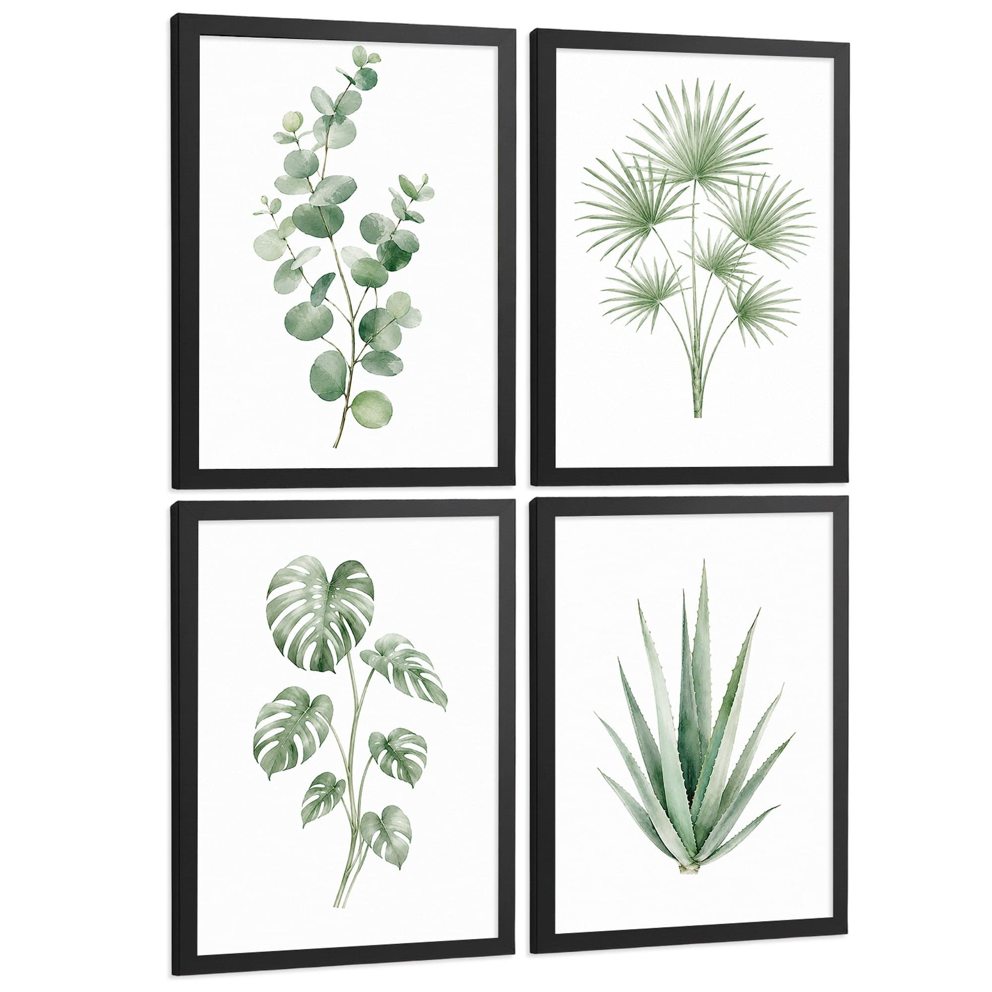 Posters Tropicales con Eucalipto, Monstera y Arte de Hojas de Palma