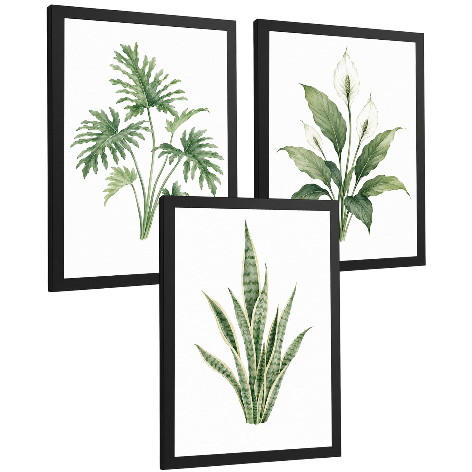 Posters Tropicales con Filodendro, Lirio de la Paz y Sansevieria